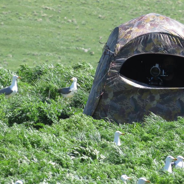 EcoFilms - making of Javakheti National Park Advertisement.