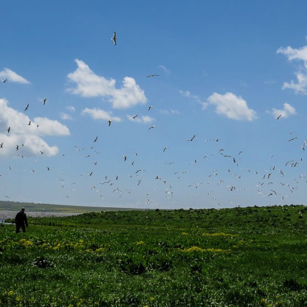 EcoFilms - making of Javakheti National Park Advertisement.