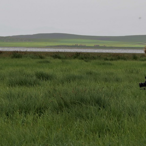 EcoFilms - making of Javakheti National Park Advertisement.
