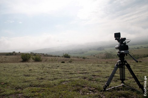 EcoFilms - filming "The Road"