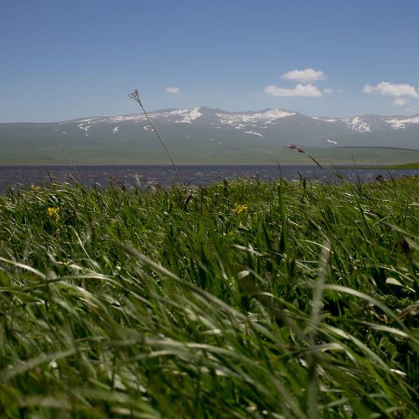 EcoFilms - making of Javakheti National Park Advertisement.