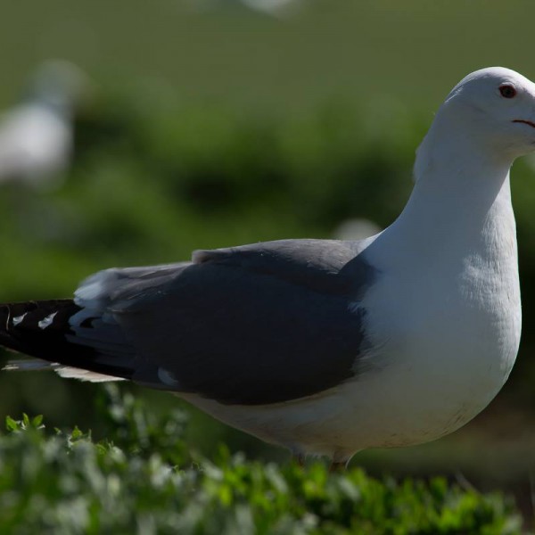 EcoFilms - making of Javakheti National Park Advertisement.
