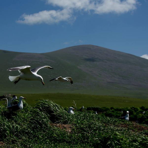 EcoFilms - making of Javakheti National Park Advertisement.
