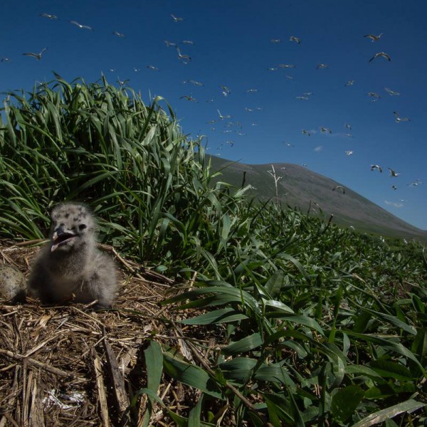 EcoFilms - making of Javakheti National Park Advertisement.