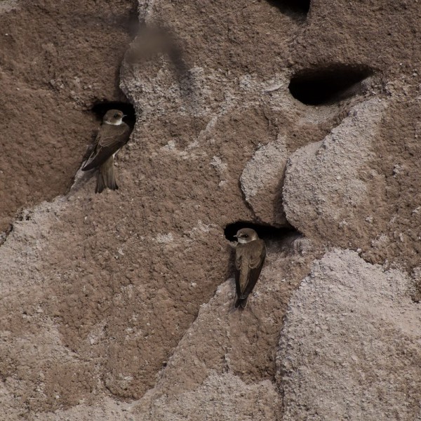 EcoFilms - making of Javakheti National Park Advertisement.