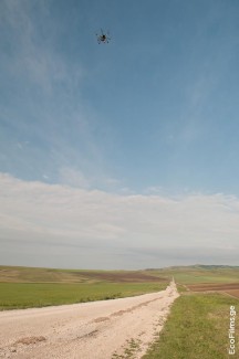 EcoFilms - filming "The Road"