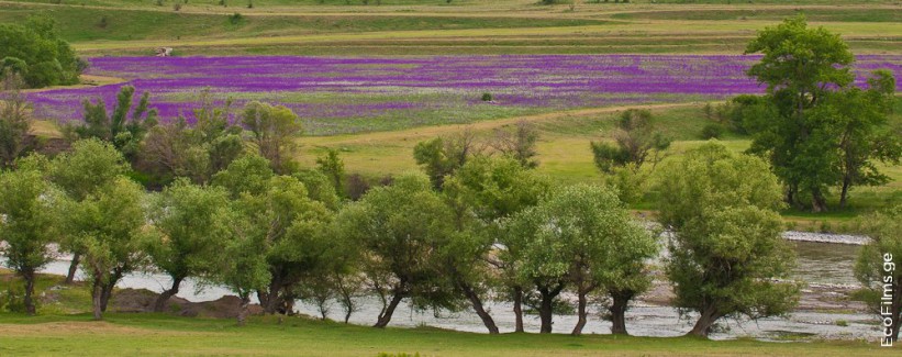 EcoFilms - filming "The Road"