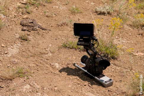 EcoFilms - filming "The Road".