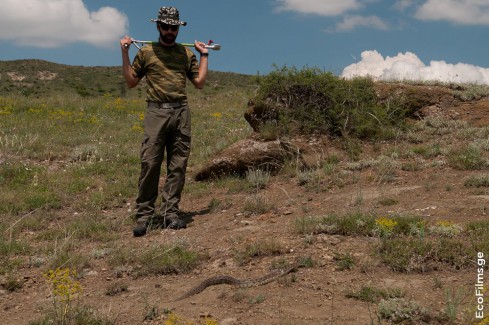 EcoFilms - filming "The Road".