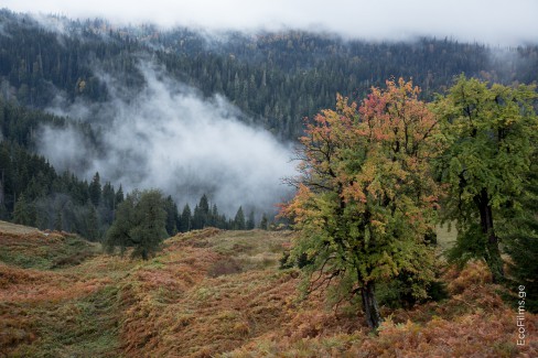 EcoFilms - making of Jara