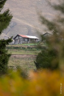 EcoFilms - making of Jara