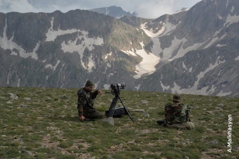 Eco films - Caucasus Nature Fund: Saving the Wild
