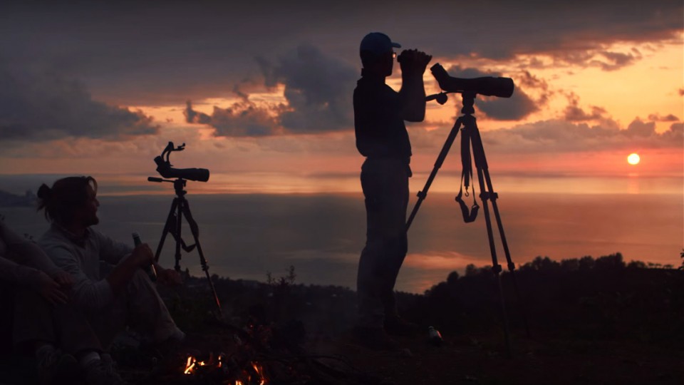 Birdwatching in Batumi - Advertisement