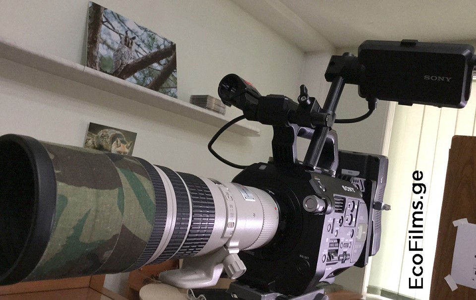 Sony FS7 Canon 400mm Sony FS7 Canon 400mm